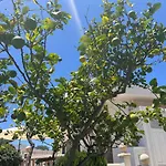 Detached Villa, Private Pool Only 10 Minutes Cristianos Villa *