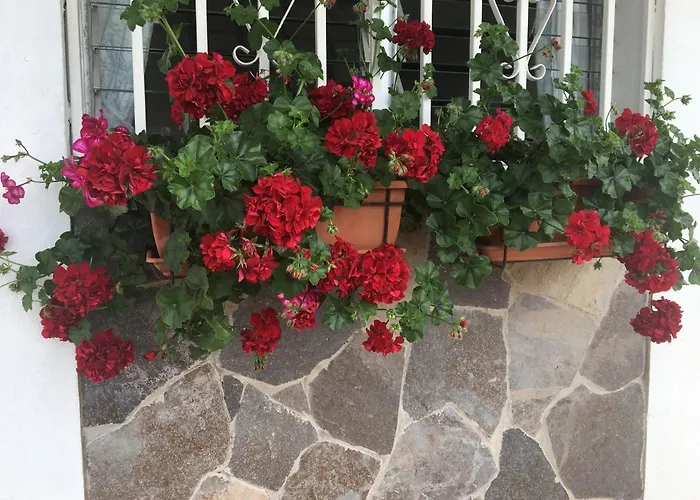 Detached Villa, Private Pool Only 10 Minutes Cristianos וילה Valle de San Lorenzo