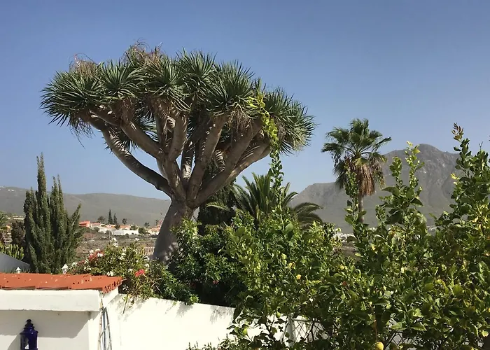 Detached Villa, Private Pool Only 10 Minutes Cristianos Willa *